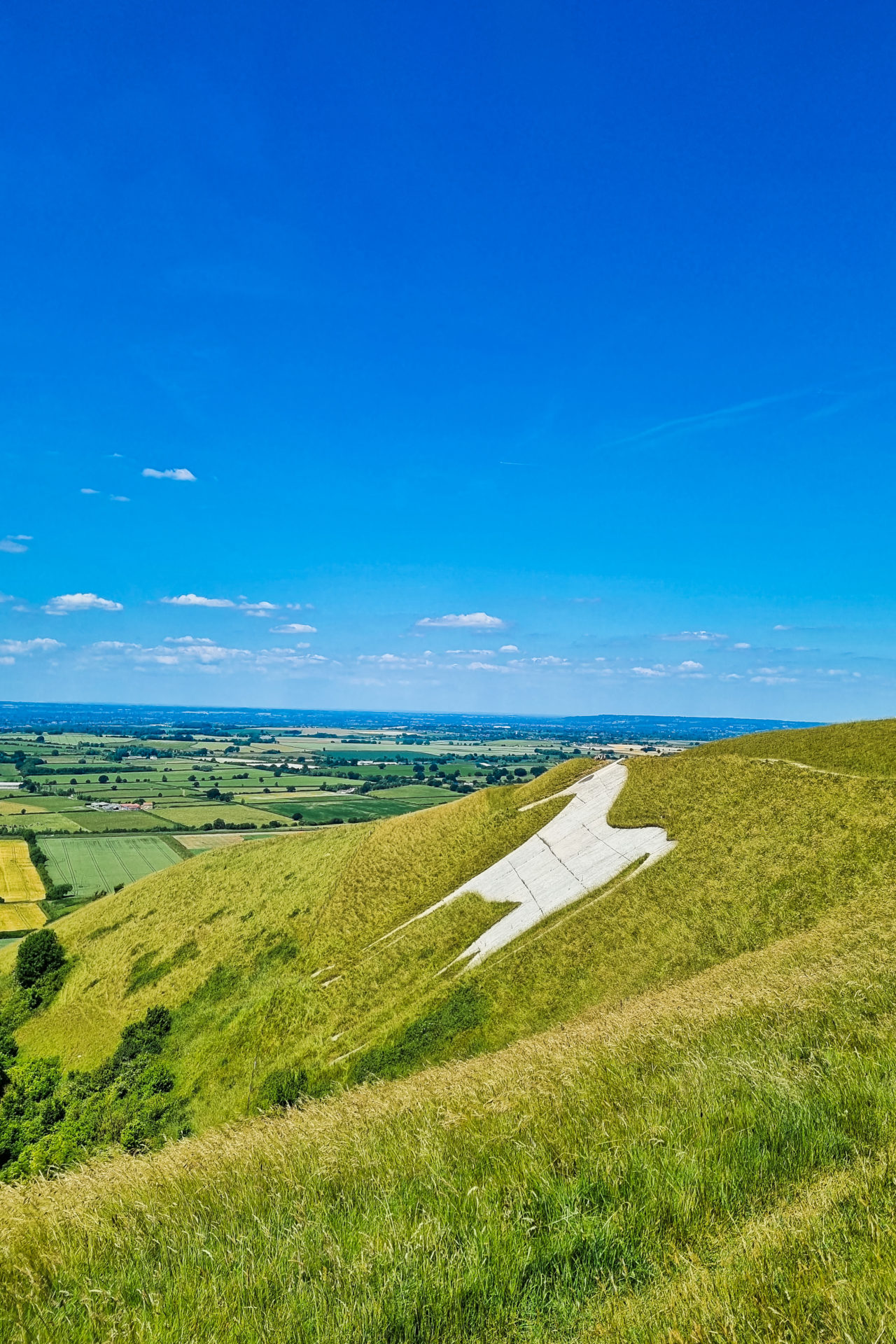 westbury_white_horse