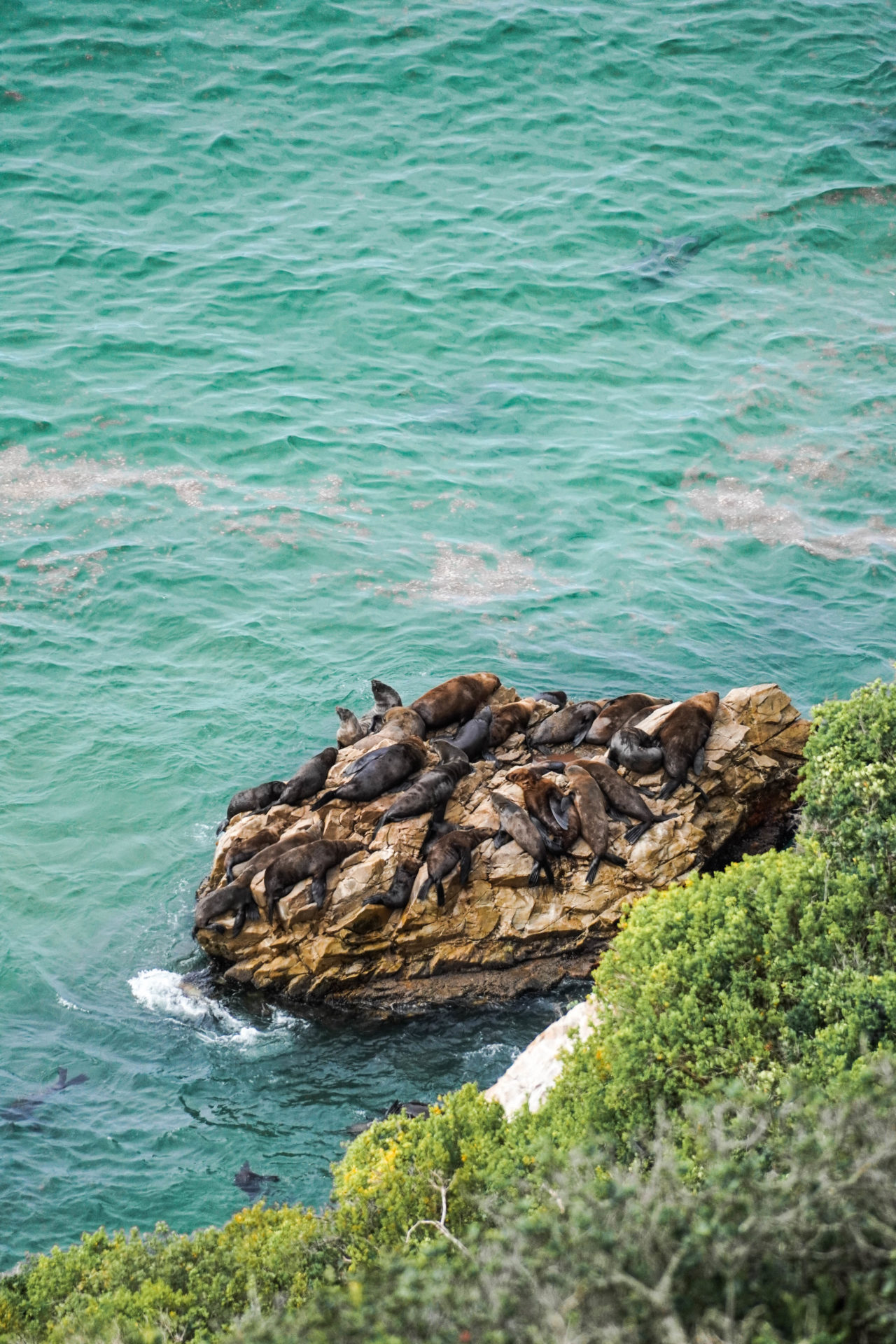 robberg_suedafrika