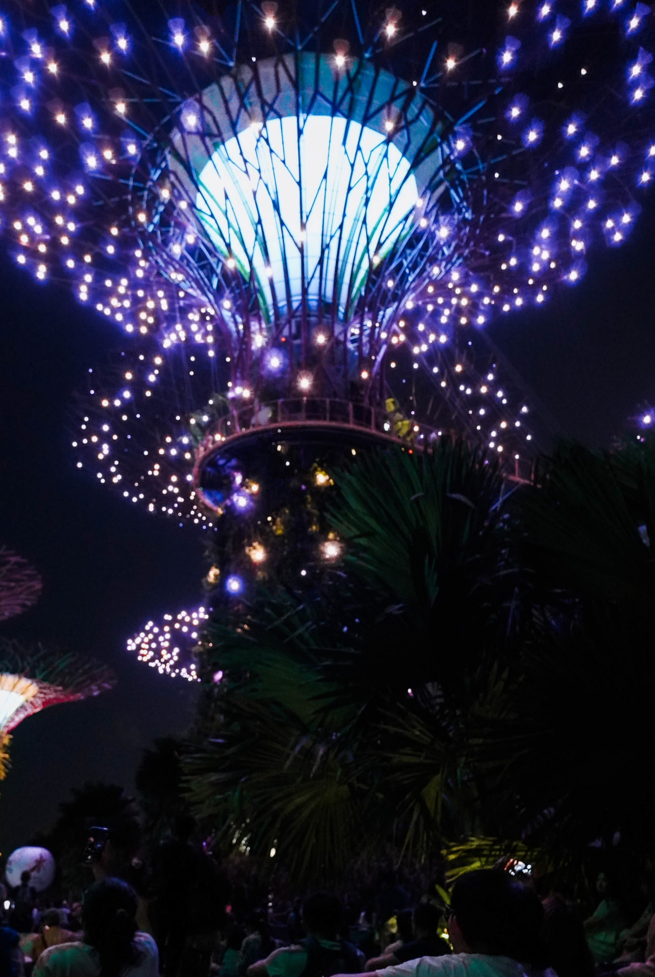 gardens_by_the_bay-lichtshow_der_supertrees